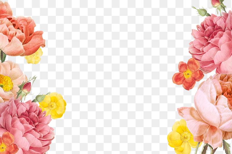 3 Free Floral Design Png S With Transparent Background