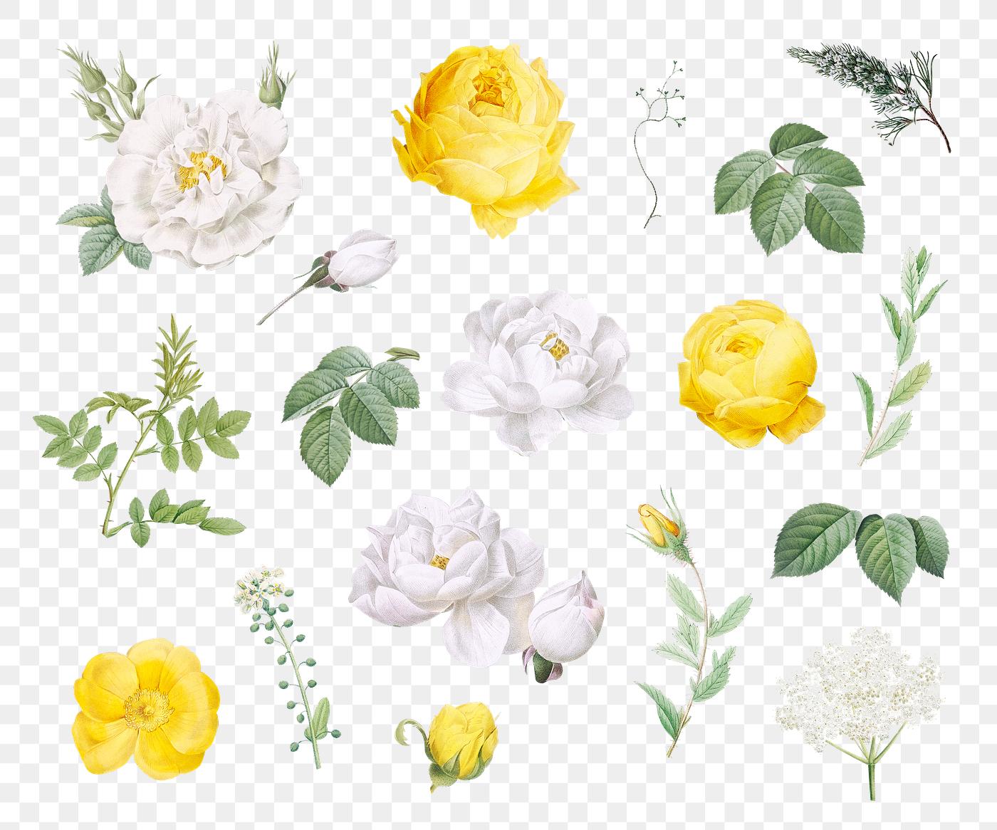 Vintage colorful flowers collection transparent png Vintage colorful flowers collection transparent png