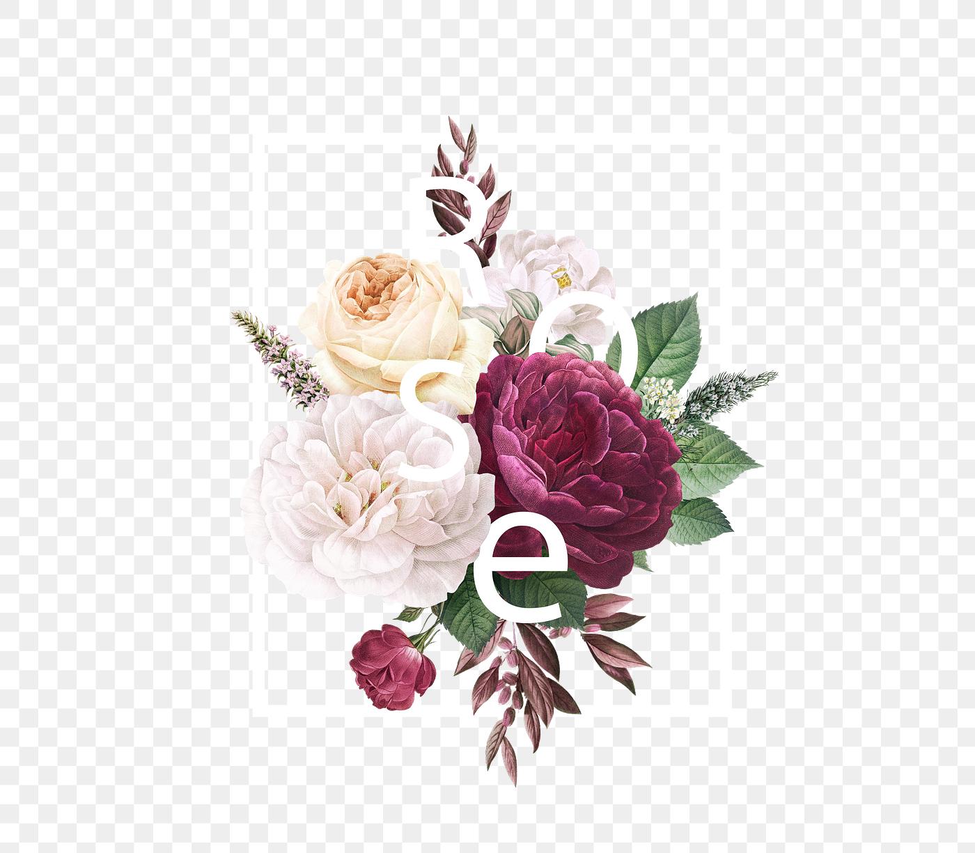 Vintage blooming roses design element transparent png Vintage blooming roses design element transparent png