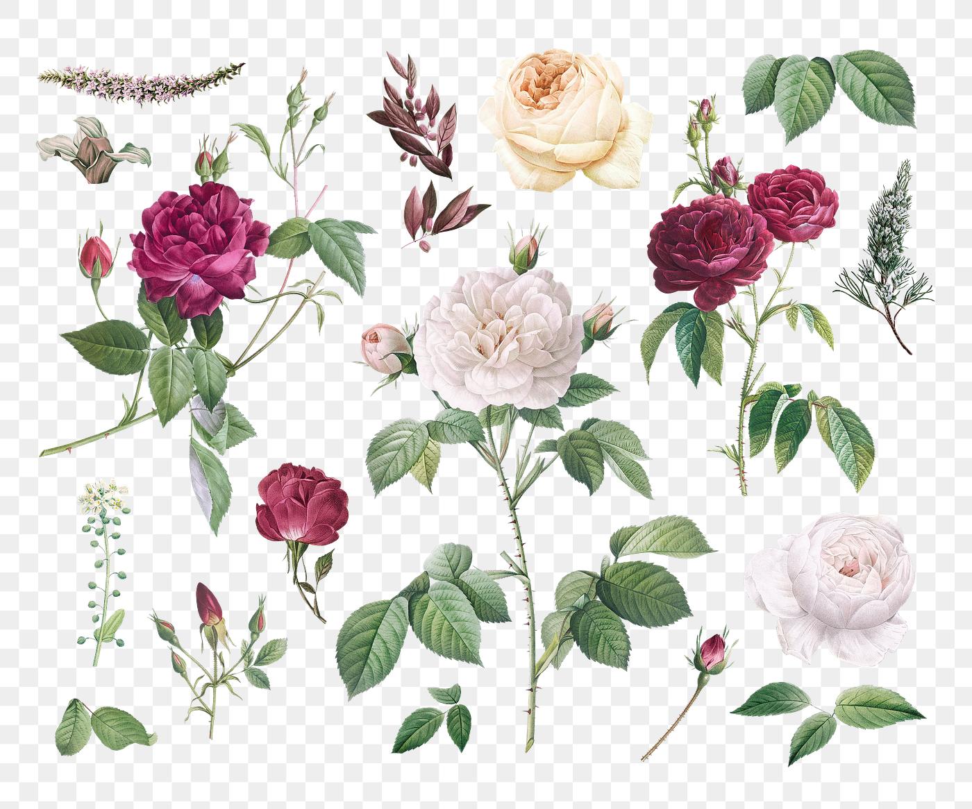 Vintage colorful flowers collection transparent png Vintage colorful flowers collection transparent png