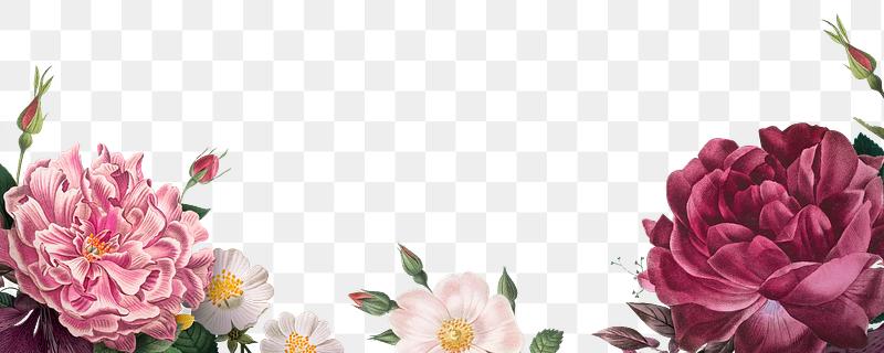Floral Border High Resolution Background Design Rawpixel