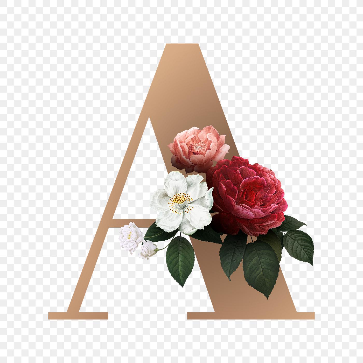 Download Floral letter A font | Free transparent png - 582890