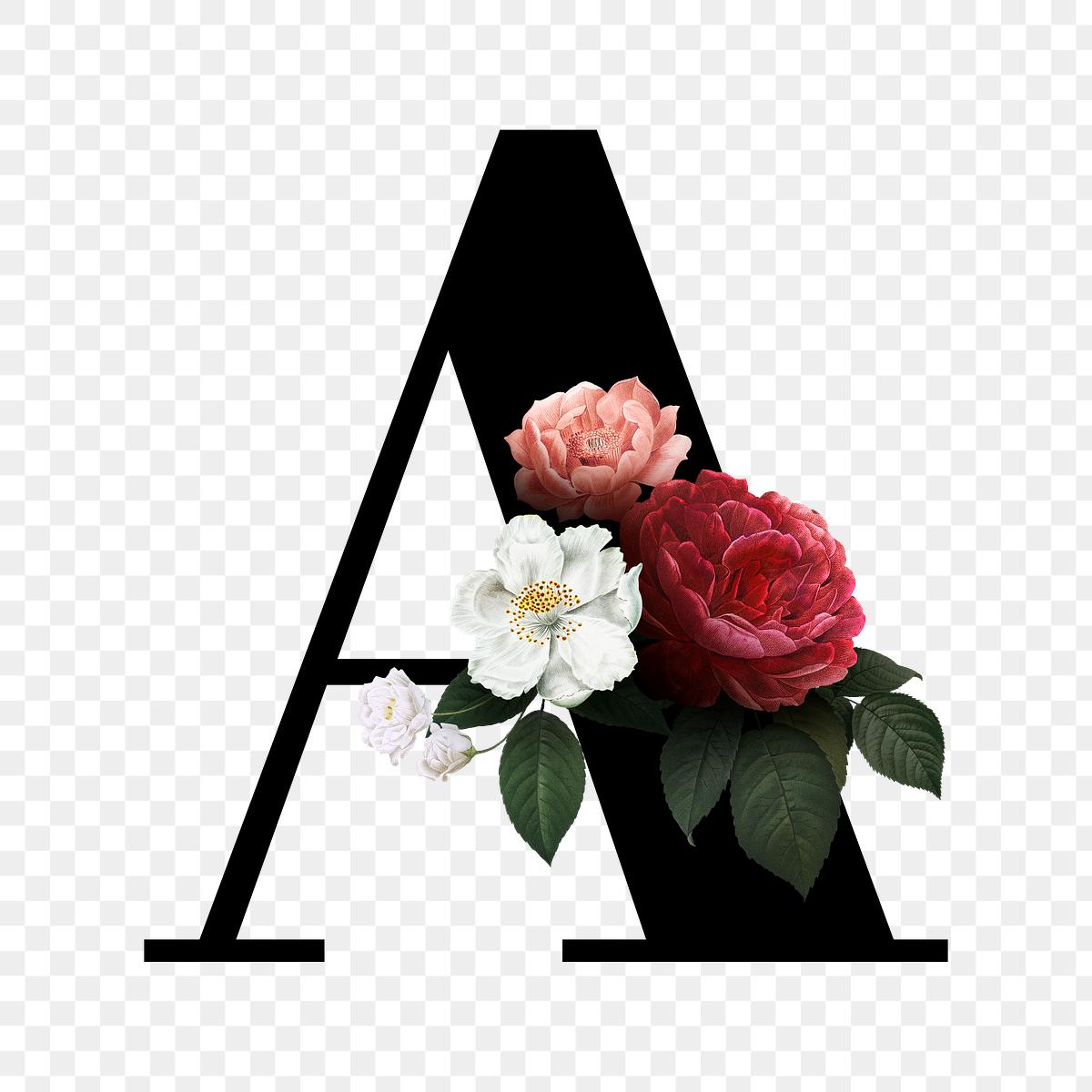 Floral letter A font | Free stock illustration - 582931