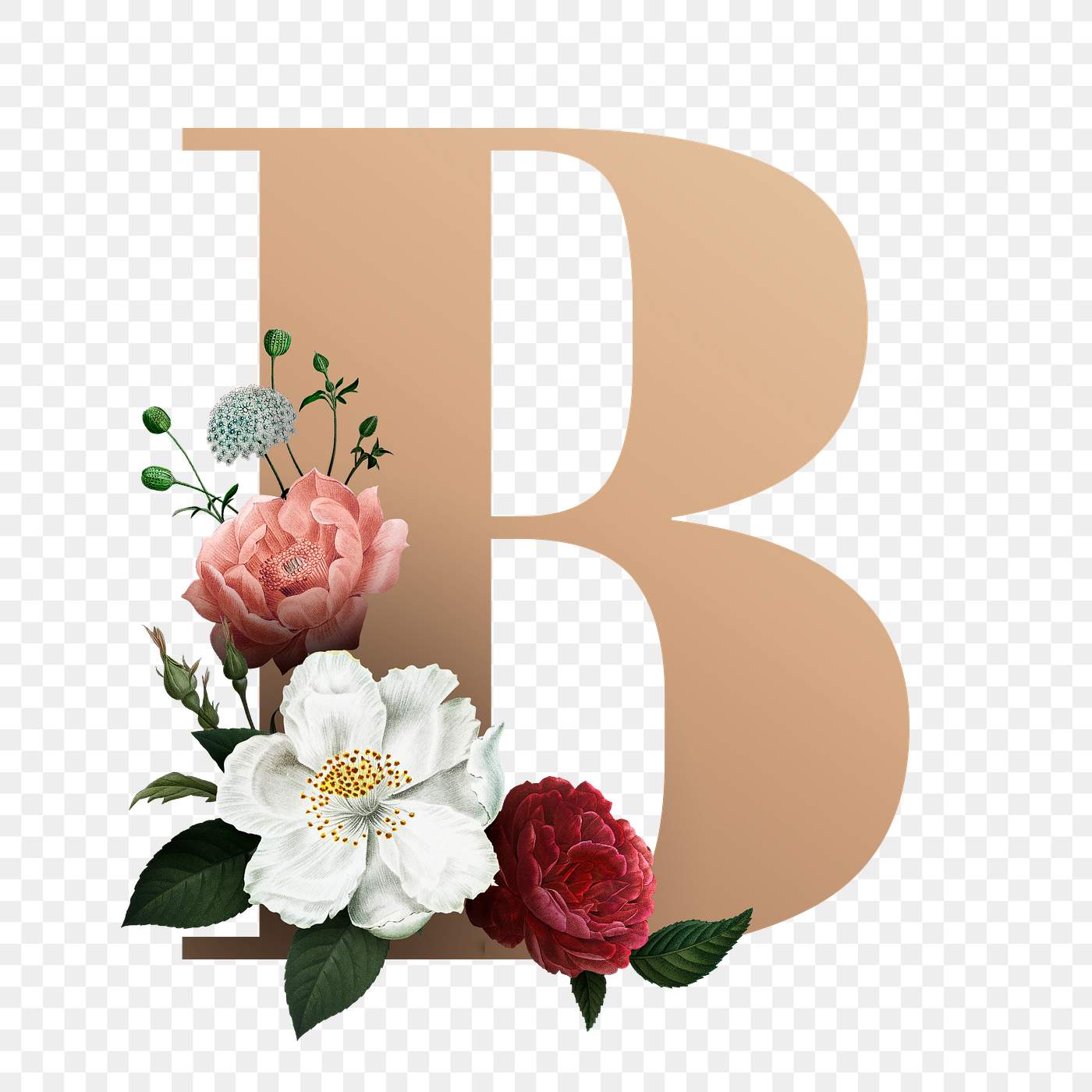Floral B alphabet font classic and elegant letter Free transparent