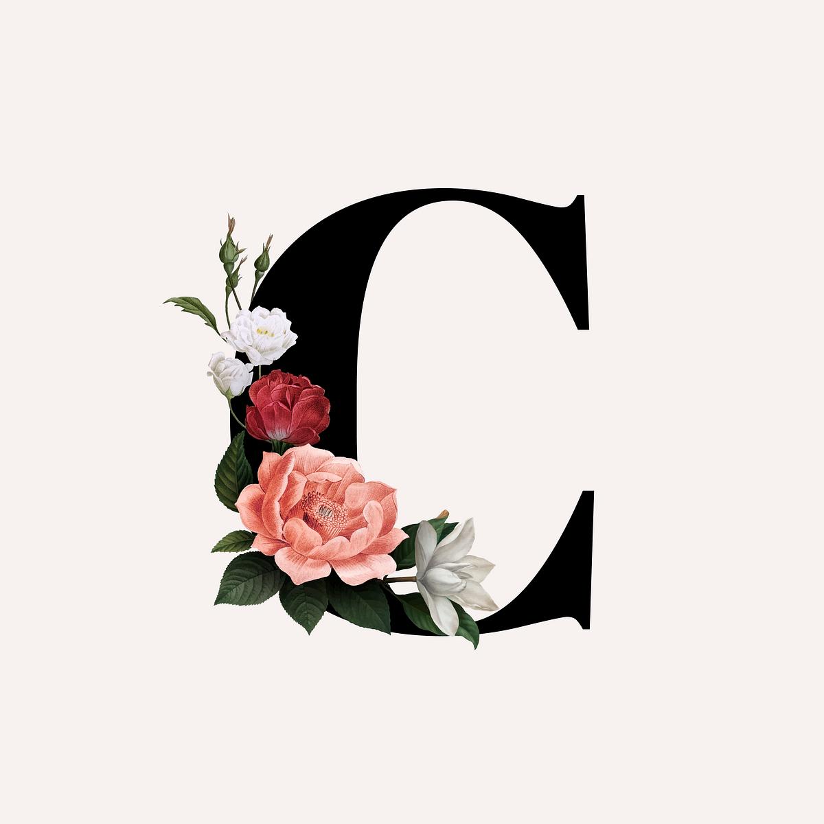 Download Floral letter C font | Free stock vector - 582996
