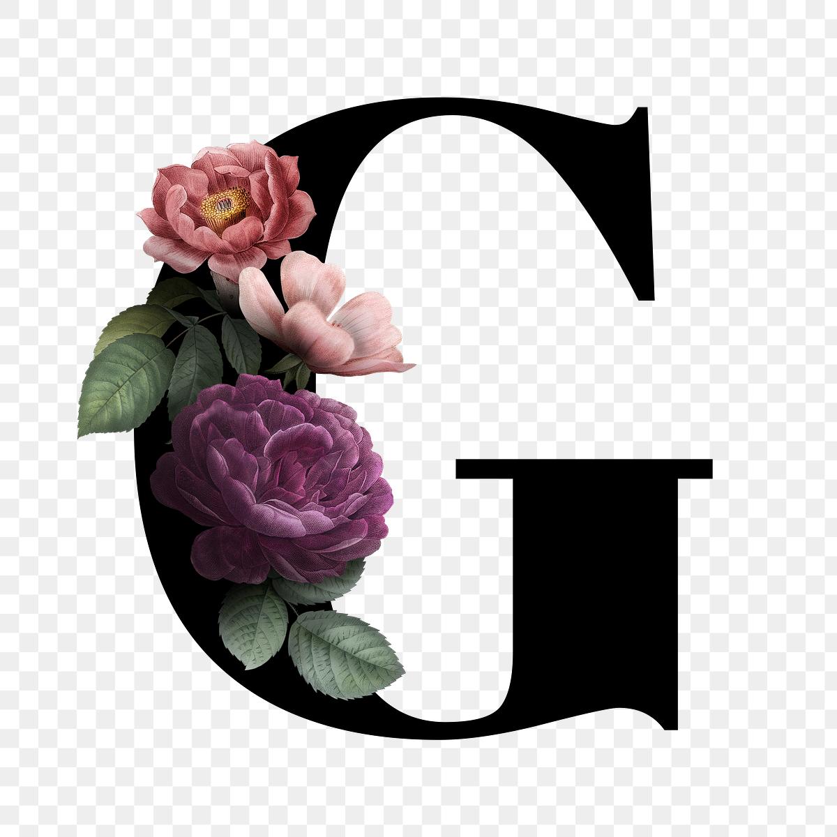 Download Floral letter G font | Free transparent png - 583087
