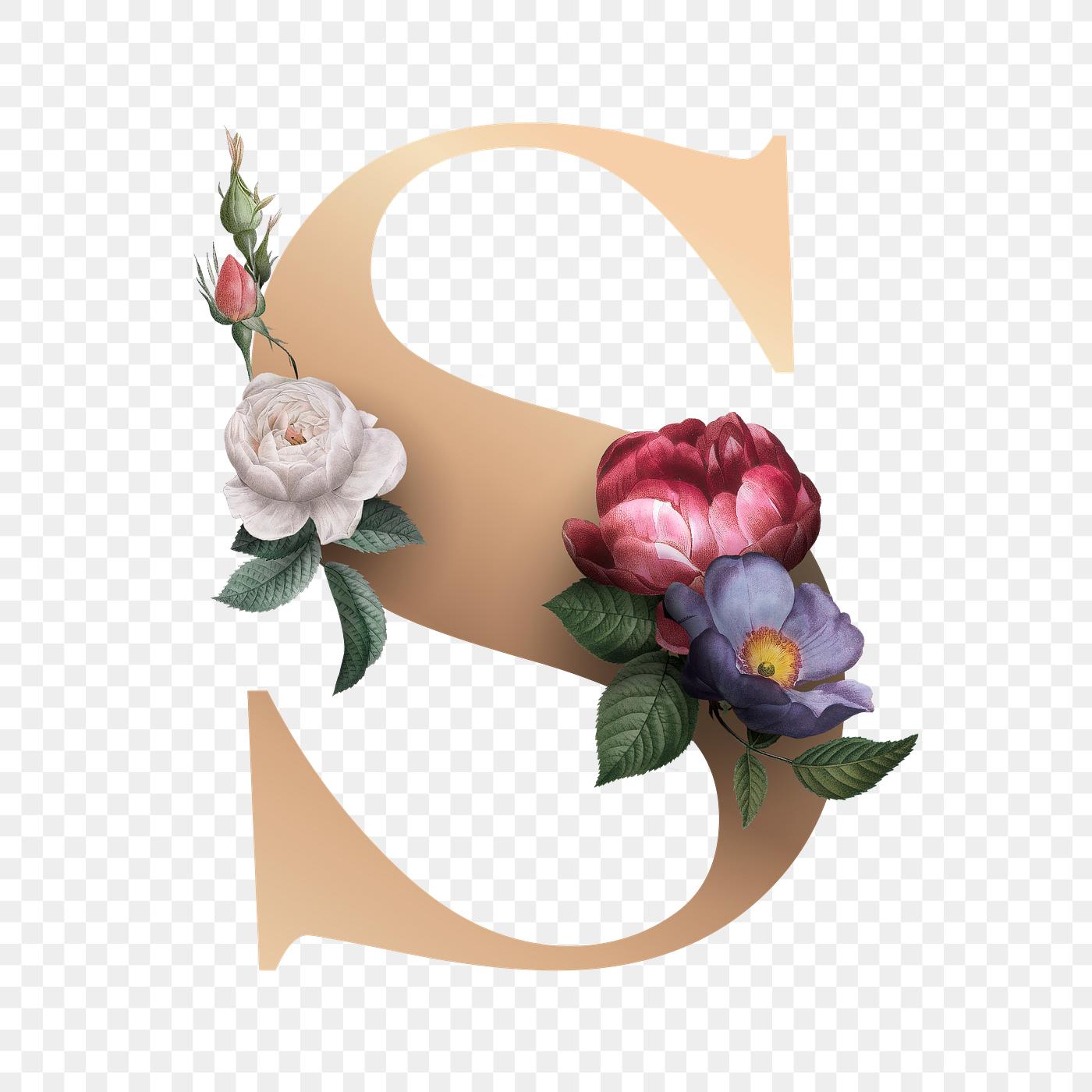 Floral letter S font Free transparent png 583170