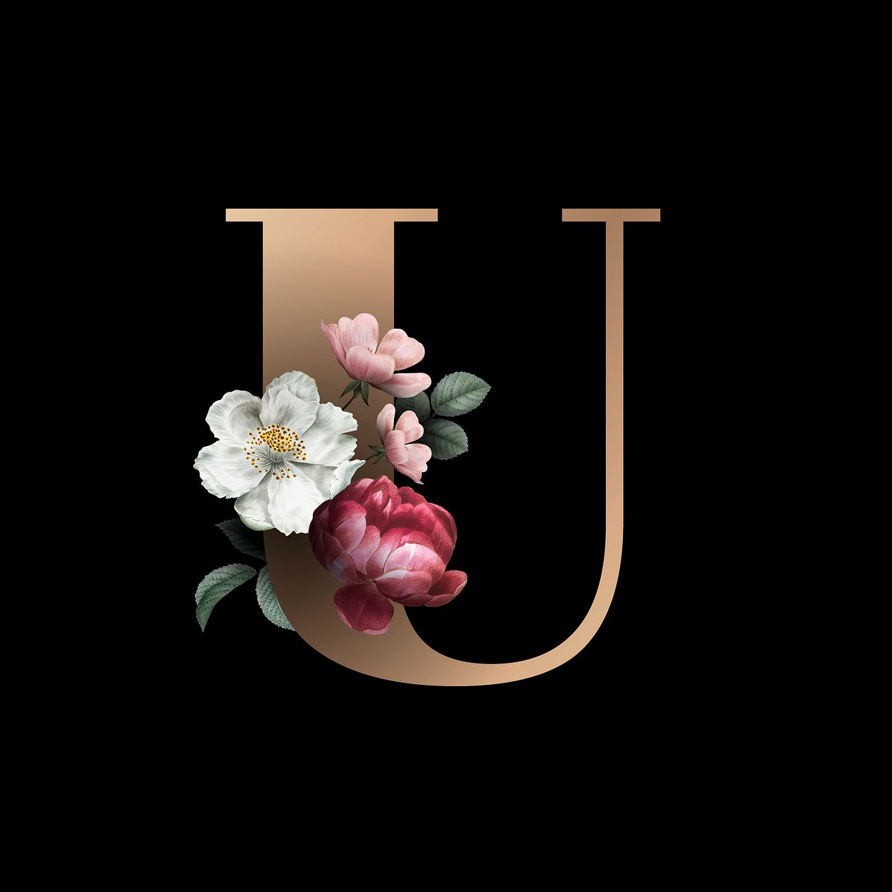 Floral letter U font | Free vector - 583207