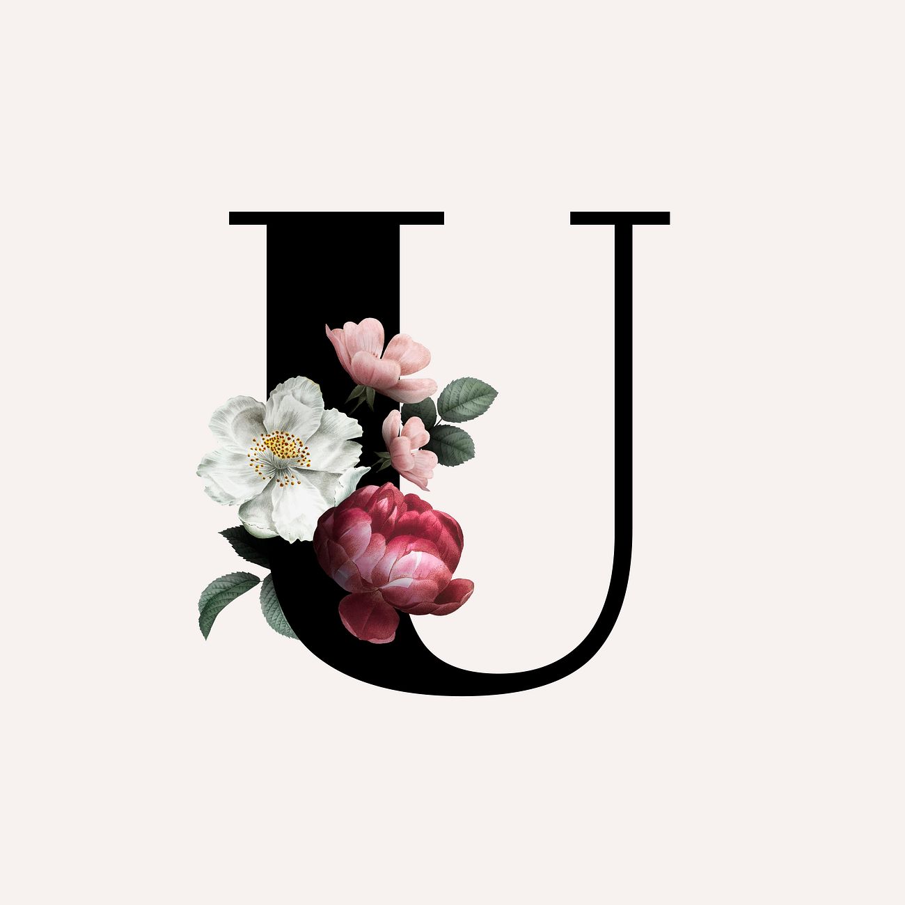 Floral letter U font Free vector 583136