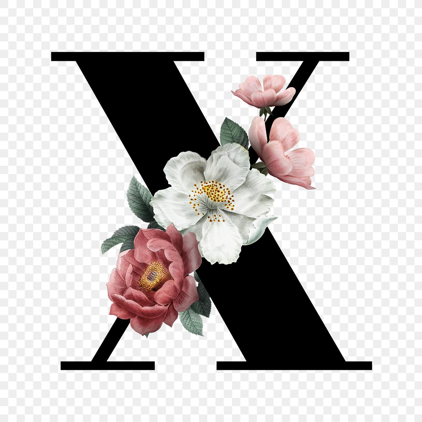 Download Floral letter X font | Free transparent png - 583163