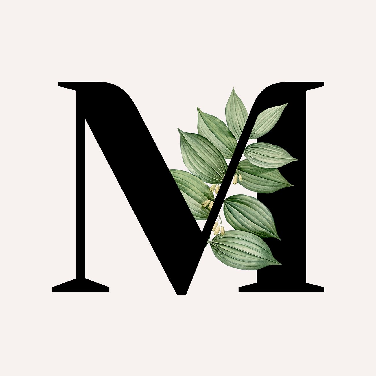 Botanical font letter M Royalty free illustration 584780