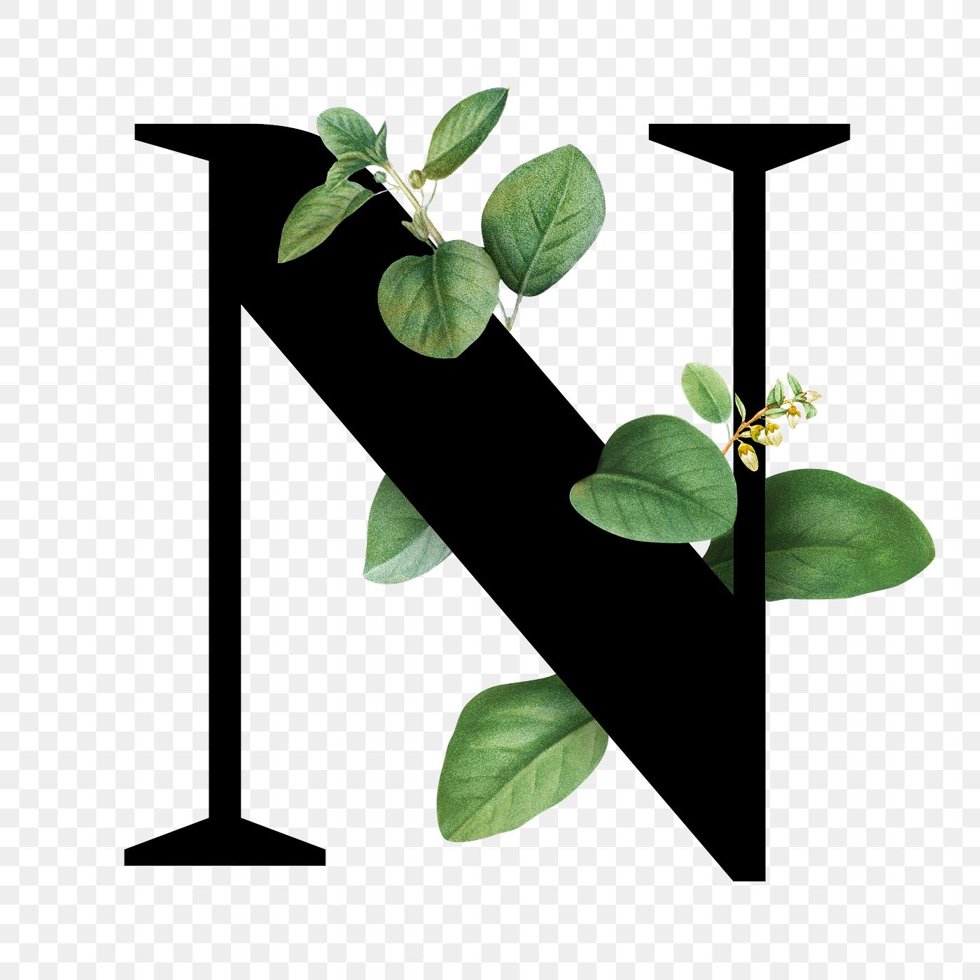 Download Botanical font letter N | Royalty free stock illustration ...