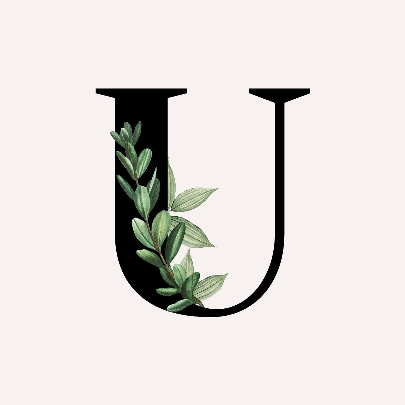 Botanical font letter U Royalty free stock illustration 584997