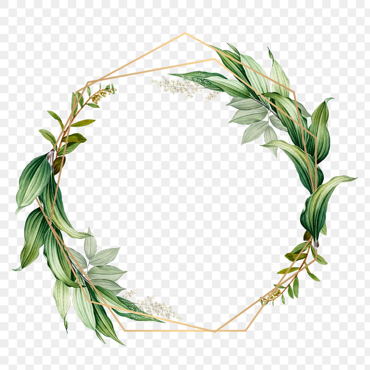 Botanical themed design space | Royalty free stock illustration - 584820