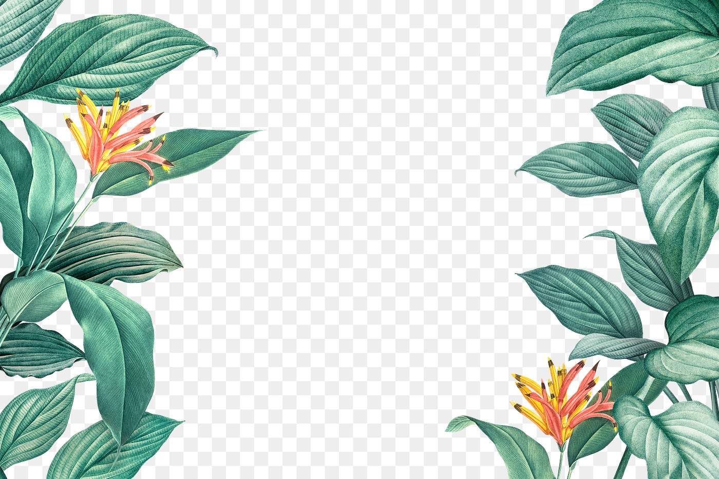 Tropical leaves frame | Free transparent png - 594536