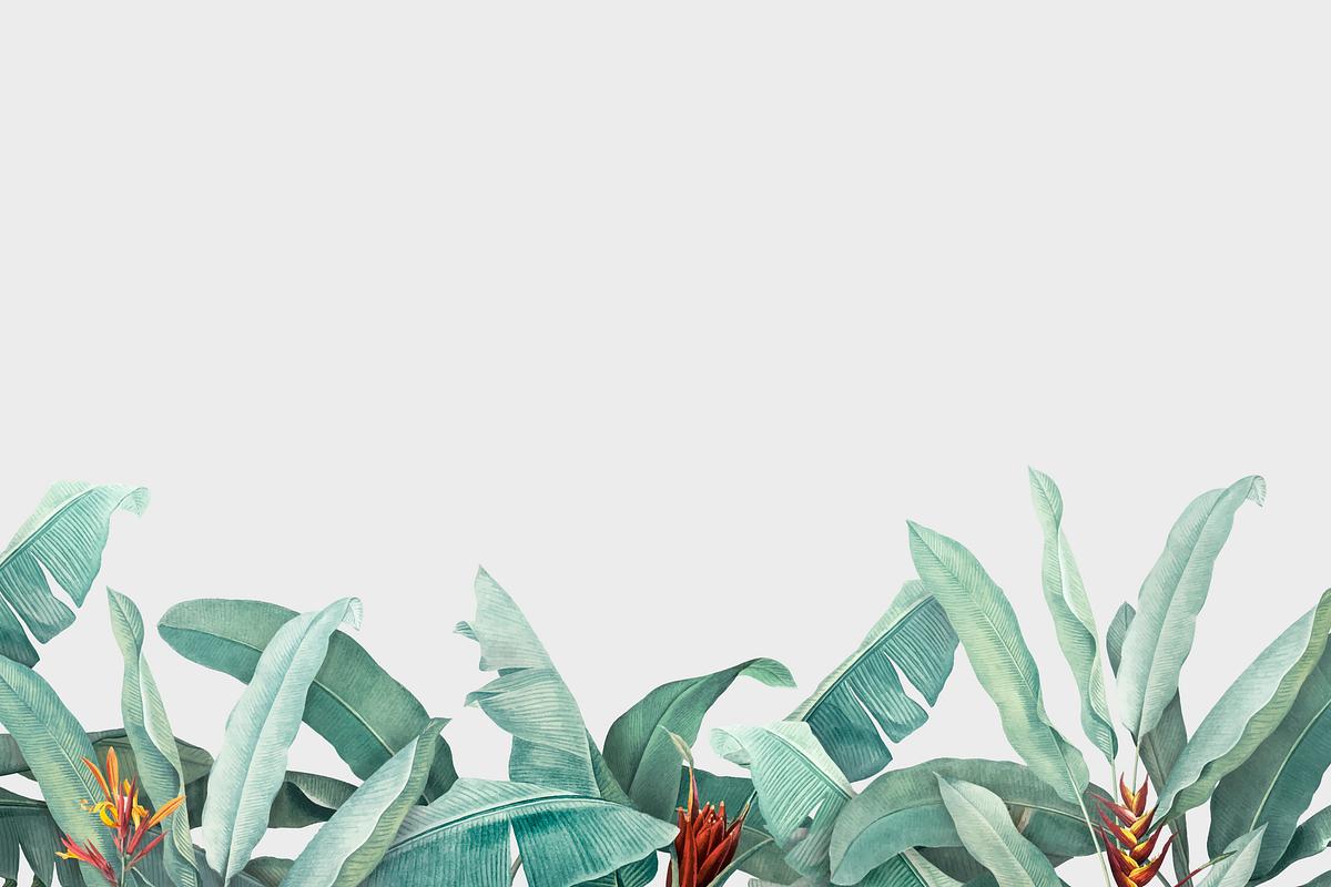 Tropical leaves background | Royalty free stock illustration - 594177