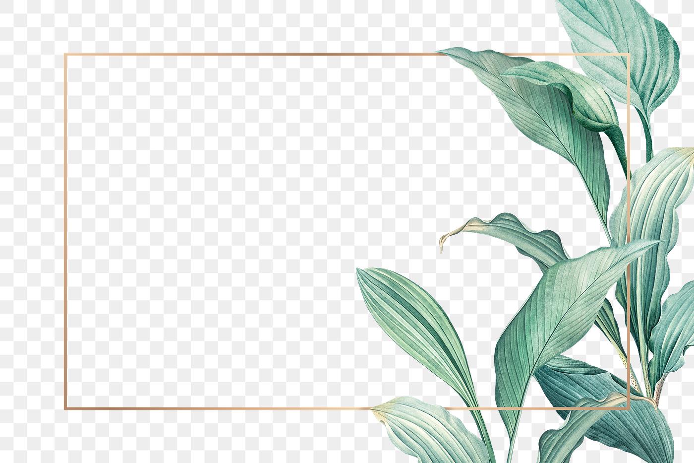 tropical paradise card free transparent png 594527 digital christmas card template