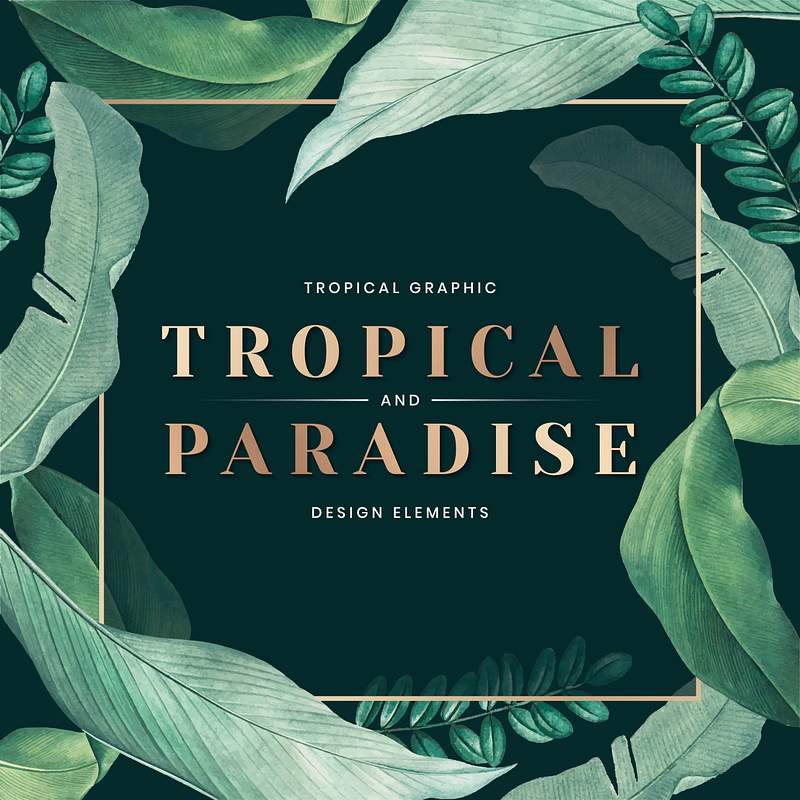 Tropical paradise card | Royalty free stock vector Tropical paradise poster decorated with hand drawn tropical leaves vector
