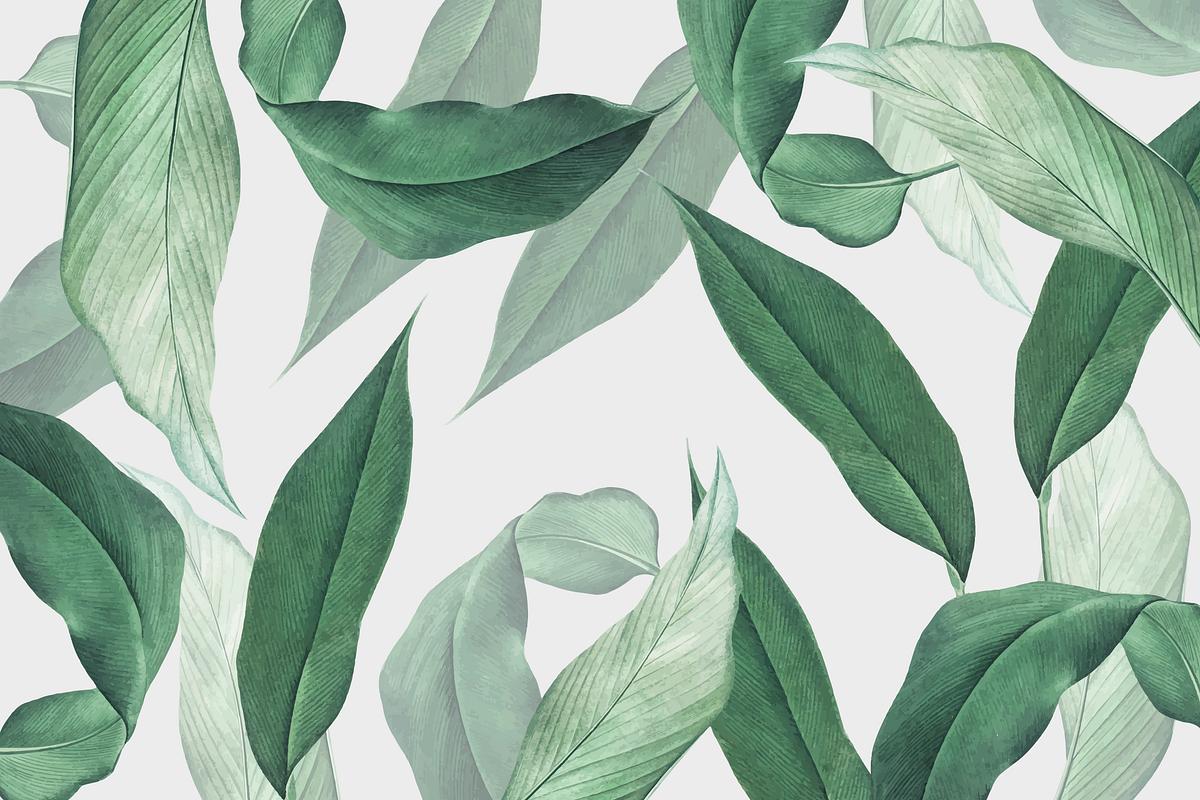 Tropical leaves background | Royalty free stock illustration - 594229