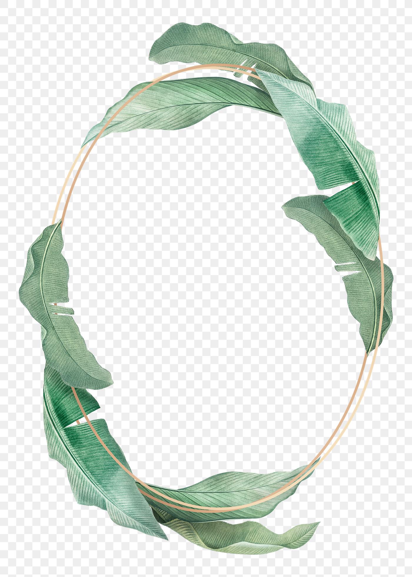 Tropical leaves frame | Free transparent png - 594534
