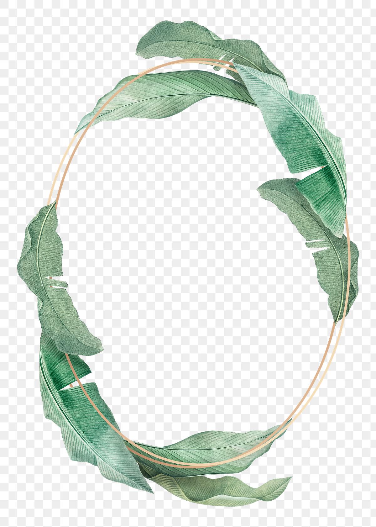 Tropical leaves frame | Free stock illustration - 594534