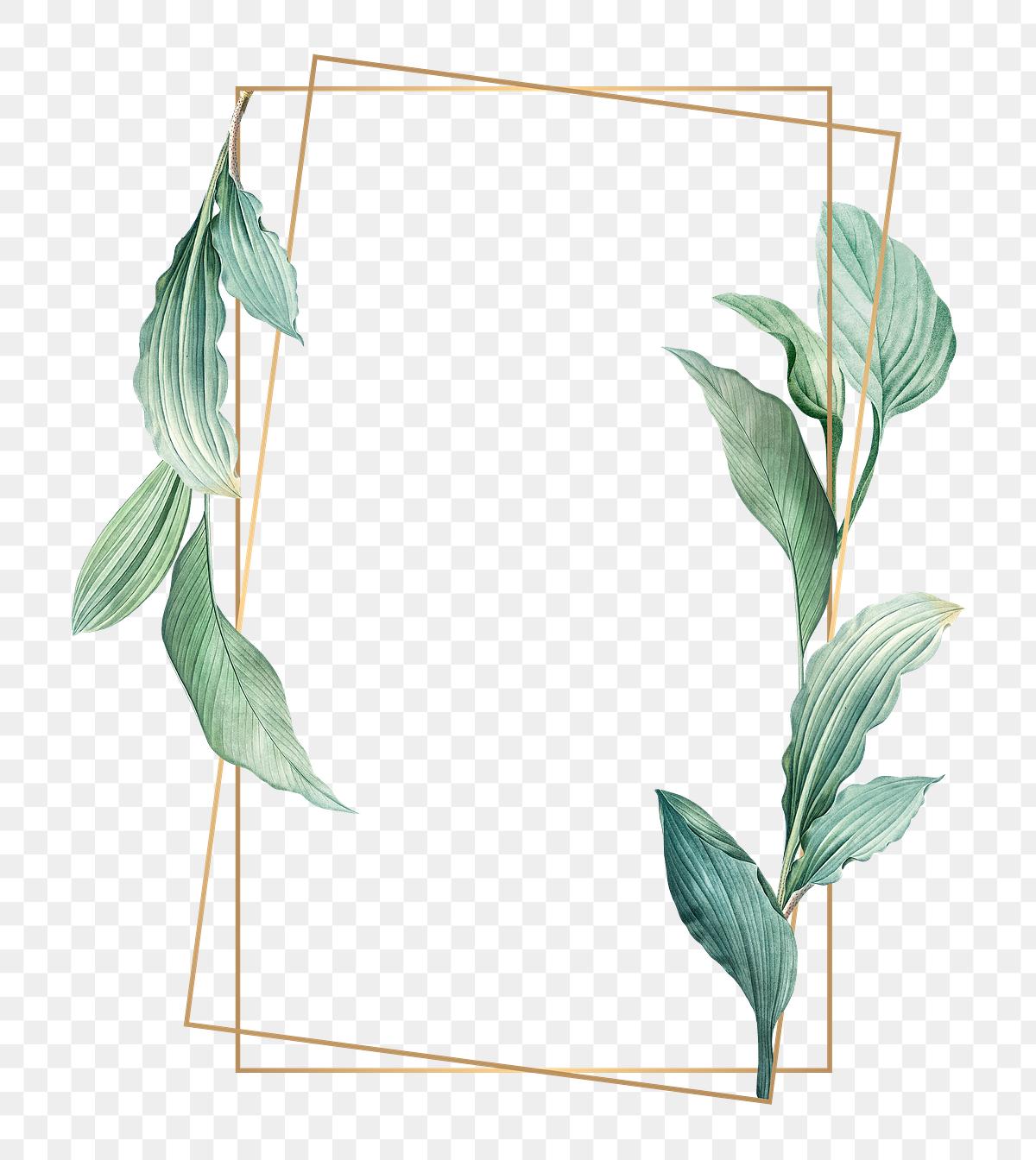 Tropical leaves frame | Free stock illustration - 594526