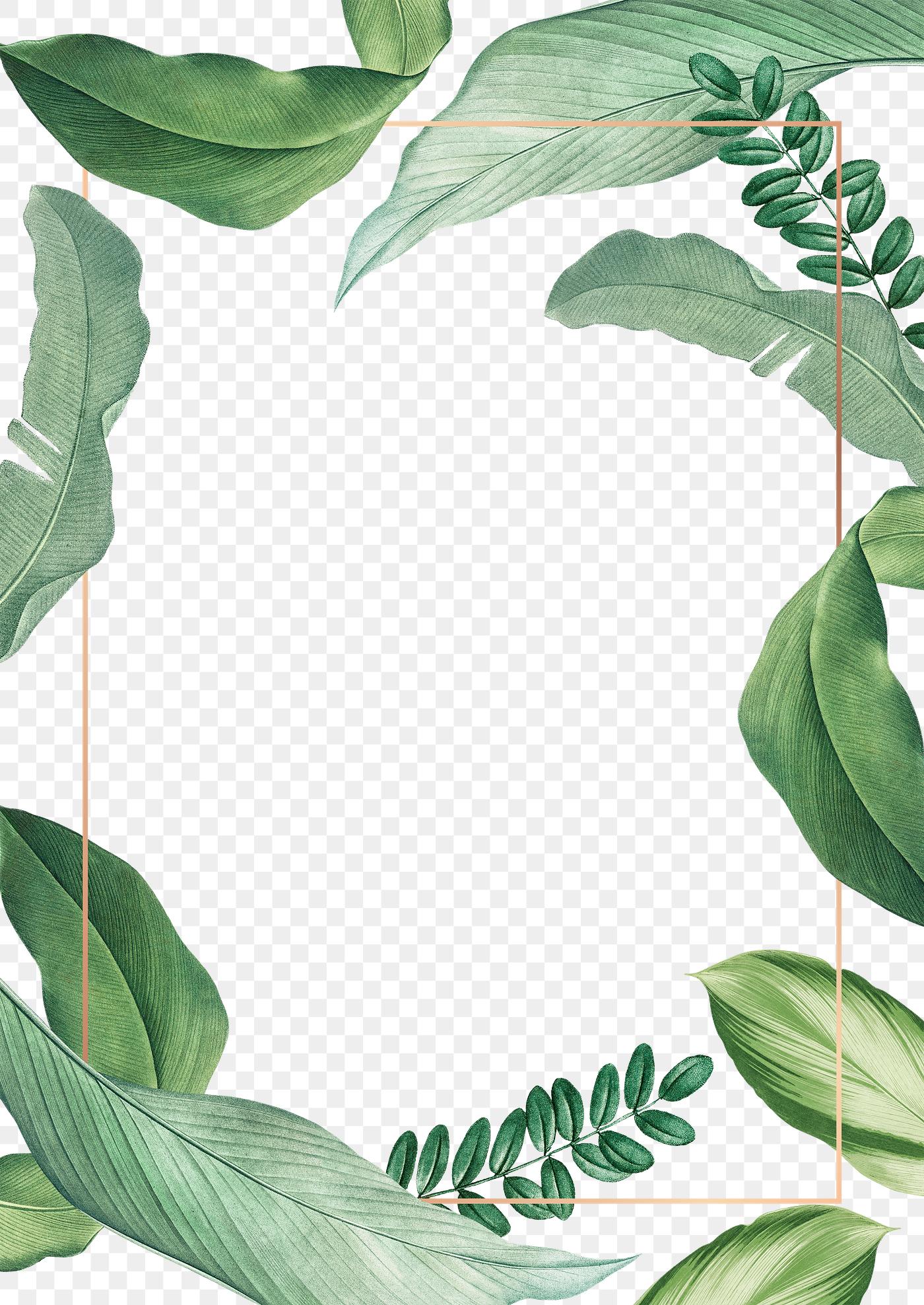 Tropical leaves frame | Free transparent png - 594540