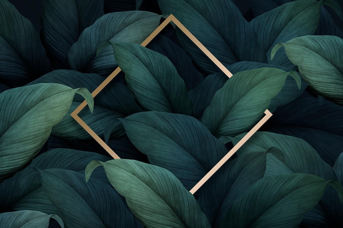 Download Tropical Foliage Background Royalty Free Stock Psd Mockup High Resolution Design