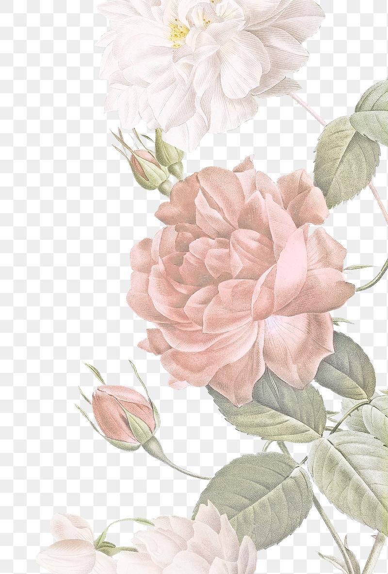 Royalty Free Flower Stock Photos Rawpixel