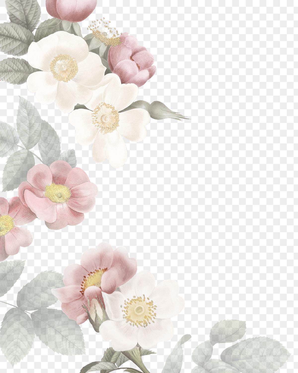 Feminine flowers border Royalty free stock illustration Feminine flowers border Royalty free stock illustration