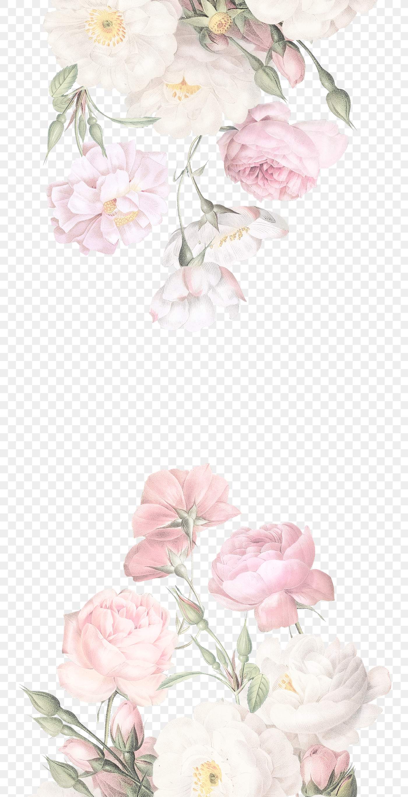 Feminine flowers border Royalty free stock transparent Feminine flowers border Royalty free stock transparent