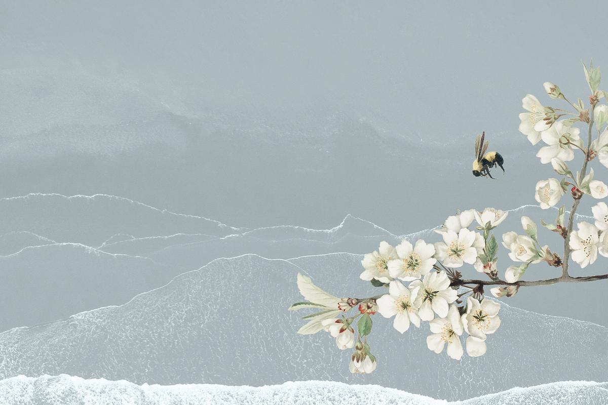 White azalea blossom flower branch bouquet… | Free PSD | High resolution mockup White azalea blossom flower branch bouquet border on blue background