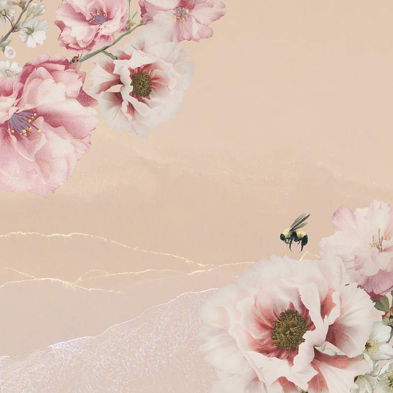 Peach Background Wedding Invitation Images | Free Photos, PNG Stickers