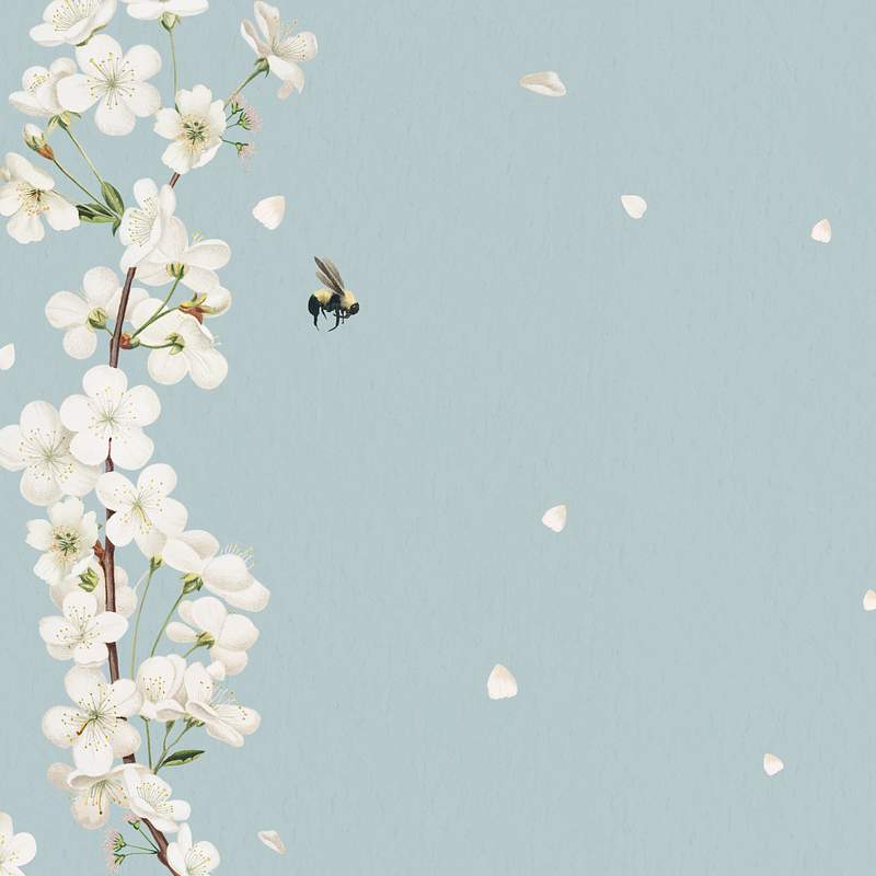 Blank white floral card design | Free Photo - rawpixel
