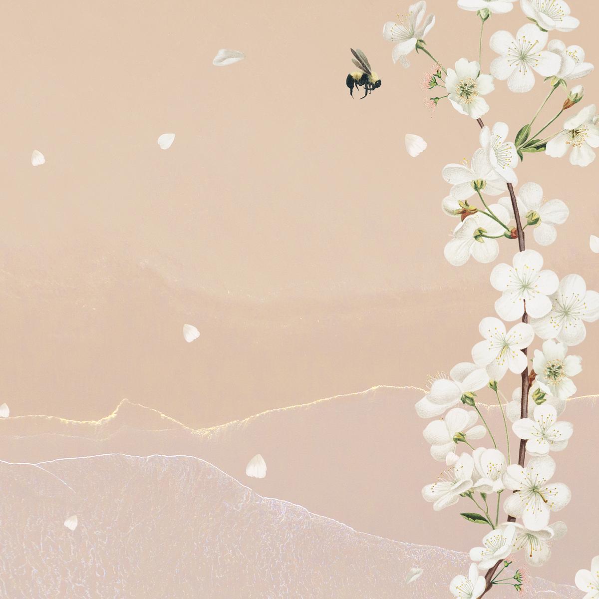 Cherry blossom flower border frame | Free PSD - rawpixel