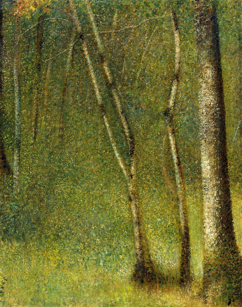 The Forest at Pontaubert The Forest at Pontaubert (1881) by Georges Seurat. Original from The MET Museum. Digitally enhanced by rawpixel.