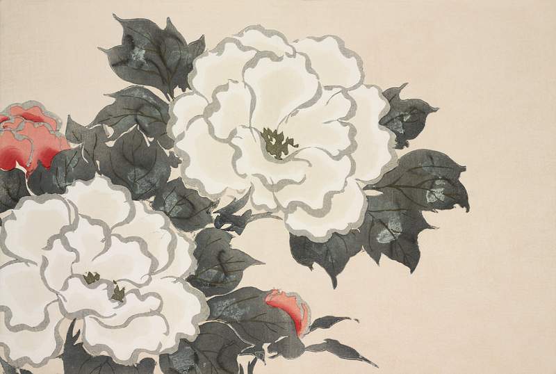 Flowers from Momoyogusa–Flowers of a Hundred Generations (ca. 1909–1910) by Kamisaka Sekka. Original from the The…