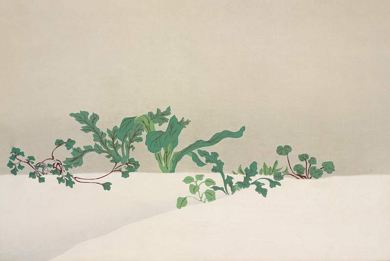 Green plants from Momoyogusa–Flowers of a Hundred Generations (1909) by Kamisaka Sekka. Original from the The New York…