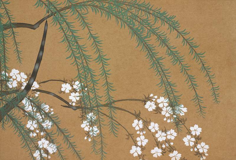 Blossoms from Momoyogusa–Flowers of a Hundred Generations (1909) by Kamisaka Sekka. Original from the The New York…
