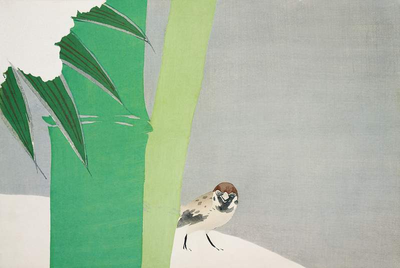 Sparrow from Momoyogusa–Flowers of a Hundred Generations (1909) by Kamisaka Sekka. Original from the The New York…