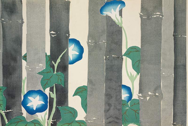 Morning glories from Momoyogusa–Flowers of a Hundred Generations (1909) by Kamisaka Sekka. Original from the The New…