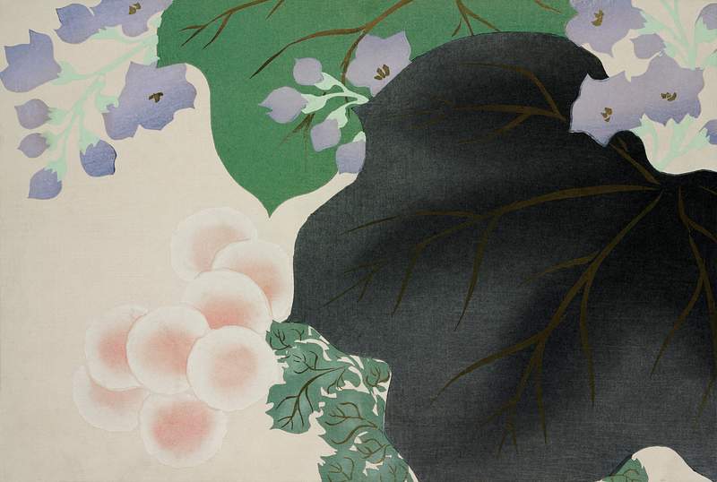 Flowers and leaves from Momoyogusa–Flowers of a Hundred Generations (1909) by Kamisaka Sekka. Original from the The New…