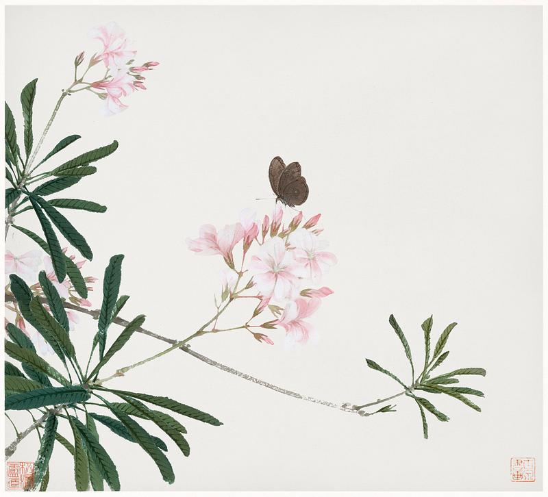 Insects and Flowers by Ju Lian Insects and Flowers (Qing dynasty ca. 1644–1911) by Ju Lian. Original from The Getty. Digitally enhanced by rawpixel.