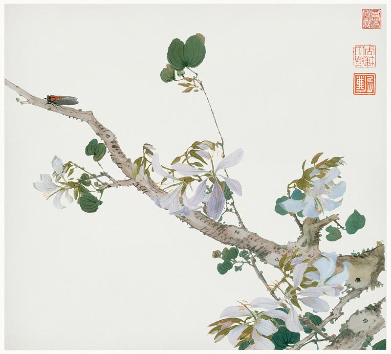 Insects and Flowers by Ju Lian Insects and Flowers (Qing dynasty ca. 1644–1911) by Ju Lian. Original from The Getty. Digitally enhanced by rawpixel.