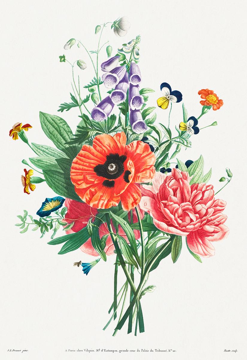 Vintage poppy, peony and foxglove bouquet… | Royalty free stock psd mockup | High Resolution design Vintage poppy, peony and foxglove bouquet illustration botanical wall art