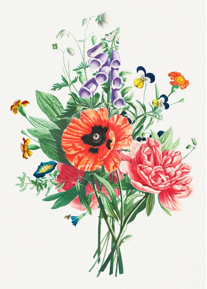 Vintage poppy, peony and foxglove bouquet… | Royalty free stock Illustration | High Resolution graphic Vintage poppy, peony and foxglove bouquet illustration botanical wall art