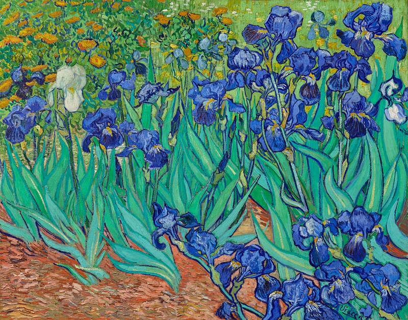 Irises (1889) by Vincent Van Gogh. Original from the J. Paul Getty Museum. Digitally enhanced by rawpixel.