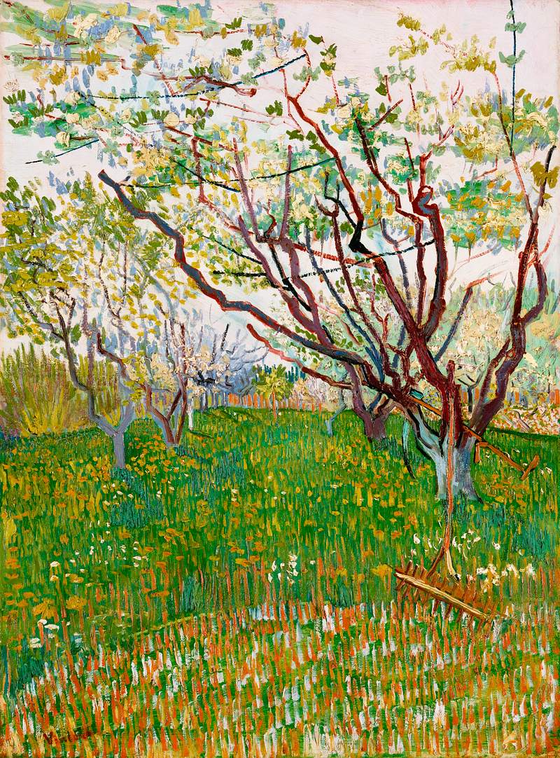 The Flowering Orchard (1888) by Vincent Van… | Free public domain illustration The Flowering Orchard (1888) by Vincent Van Gogh. Original from the MET Museum. Digitally enhanced by rawpixel.
