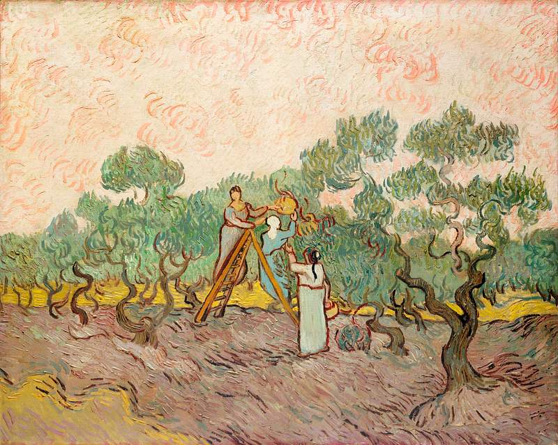 Women Picking Olives (1889) by Vincent Van… | Free public domain illustration Women Picking Olives (1889) by Vincent Van Gogh. Original from the MET Museum. Digitally enhanced by rawpixel.