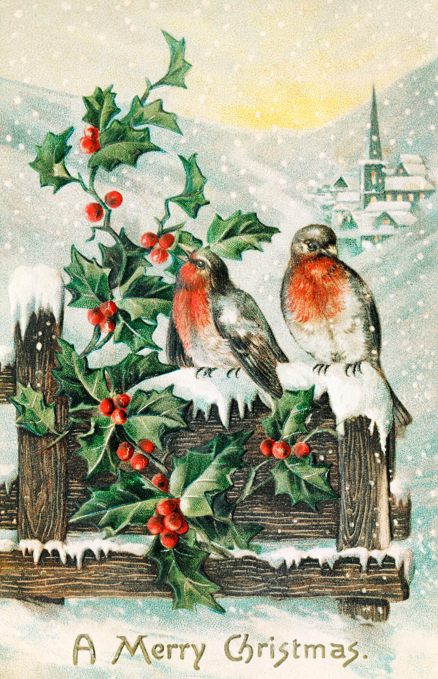Greeting card with birds and holly Vintage Christmas Postcard (1906) by P. Sander. Original from The New York Public Library. Digitally enhanced by rawpixel.